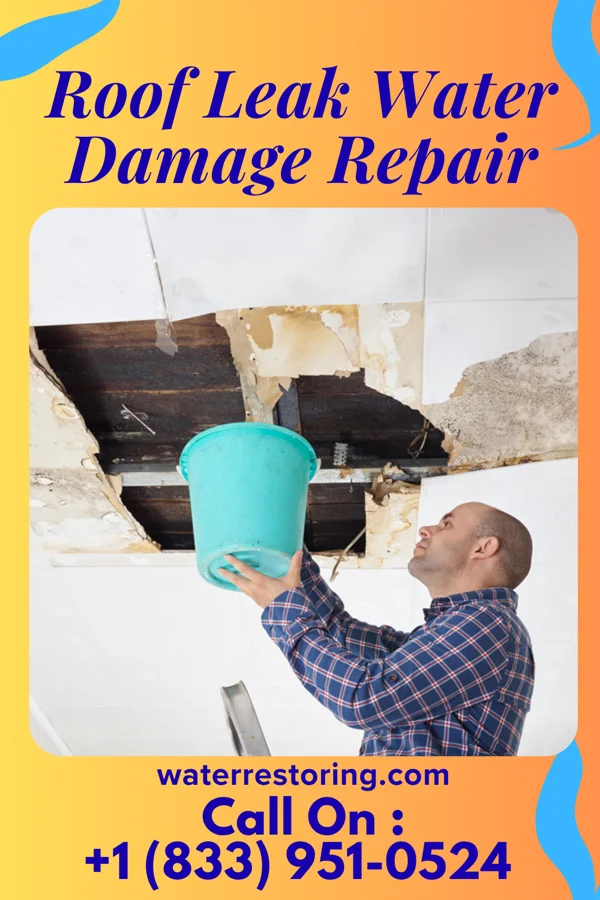 Roof Leak Water Damage Repair in Henderson, TX